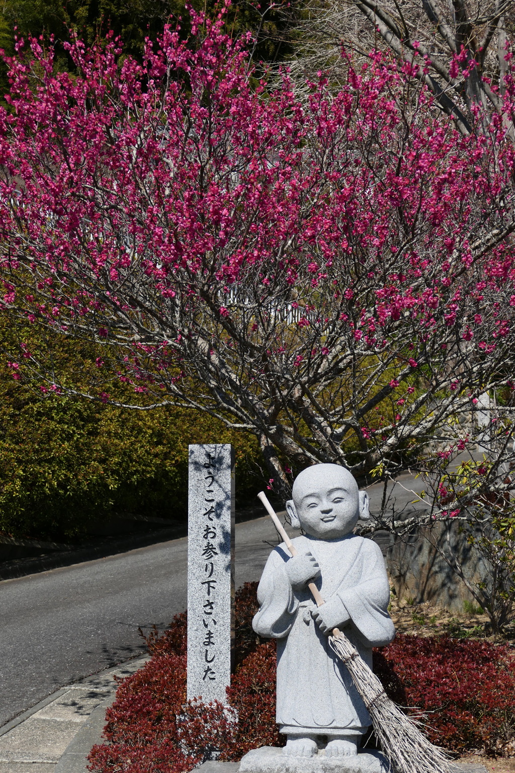 梅林寺①
