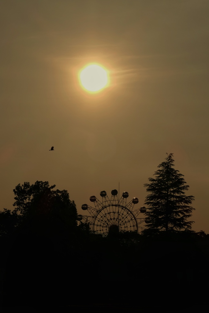 夕景