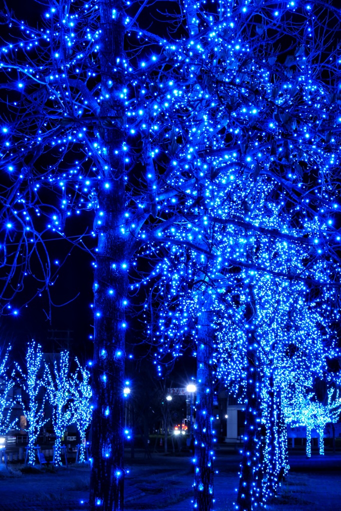 ブルーイルミネーション