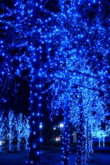 ブルーイルミネーション
