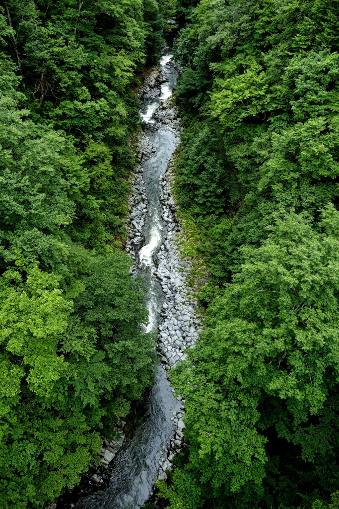 夏の中津川渓谷