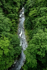 夏の中津川渓谷