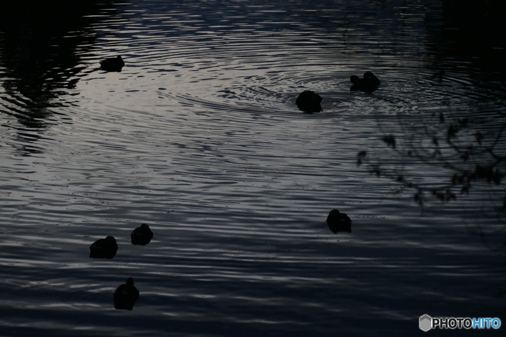 早く寝なさい！