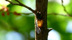 さらに光でアピール