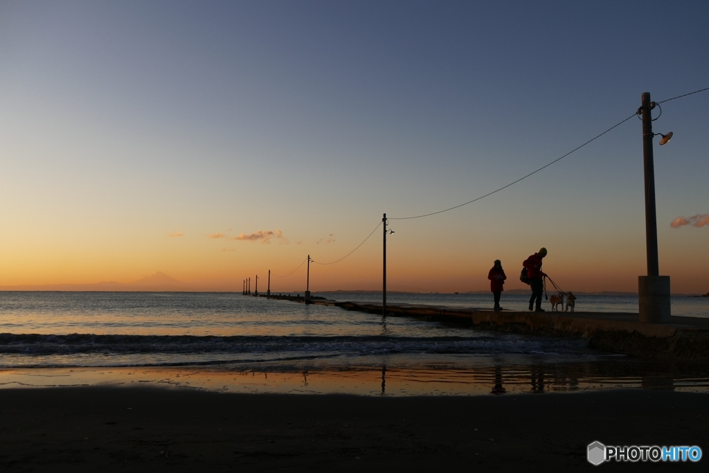 ここから先は無理だワン