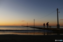 ここから先は無理だワン