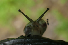 乗ってんじゃねーよ(怒)