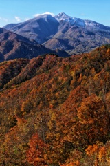 秋と冬の狭間に