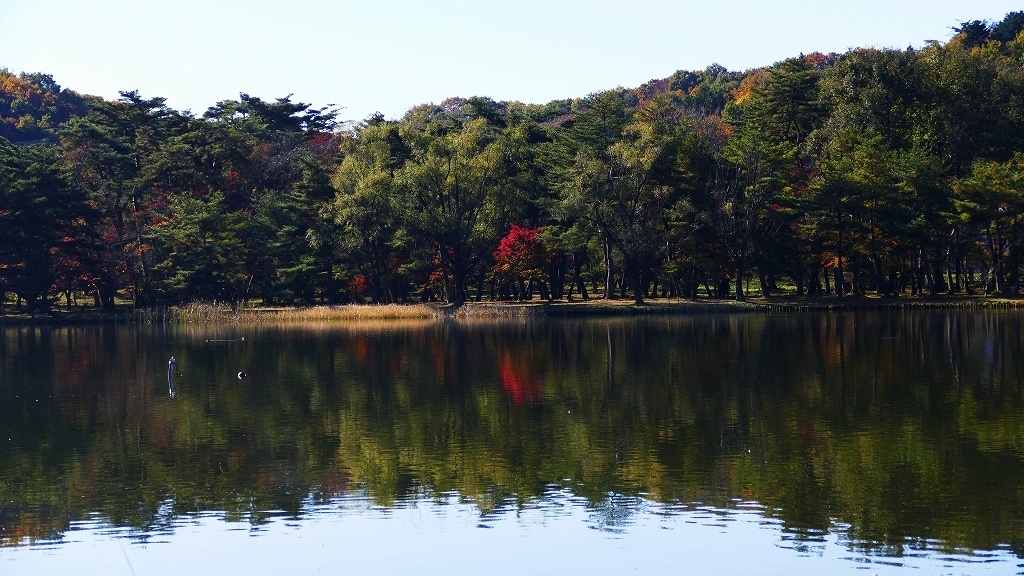 P1160507@白河市南湖