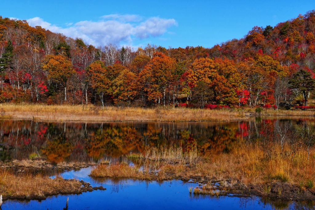 観音沼森林公園６