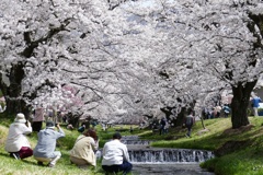 良いの撮れるかな？