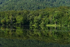 リフレクション