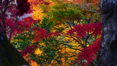 P1170199　@白河市南湖公園