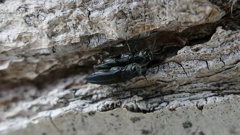 覗いてスマン・・・