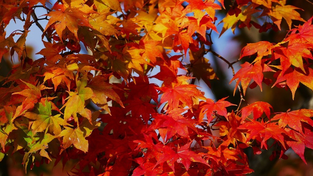 P1150707　＠石筵ふれあい牧場