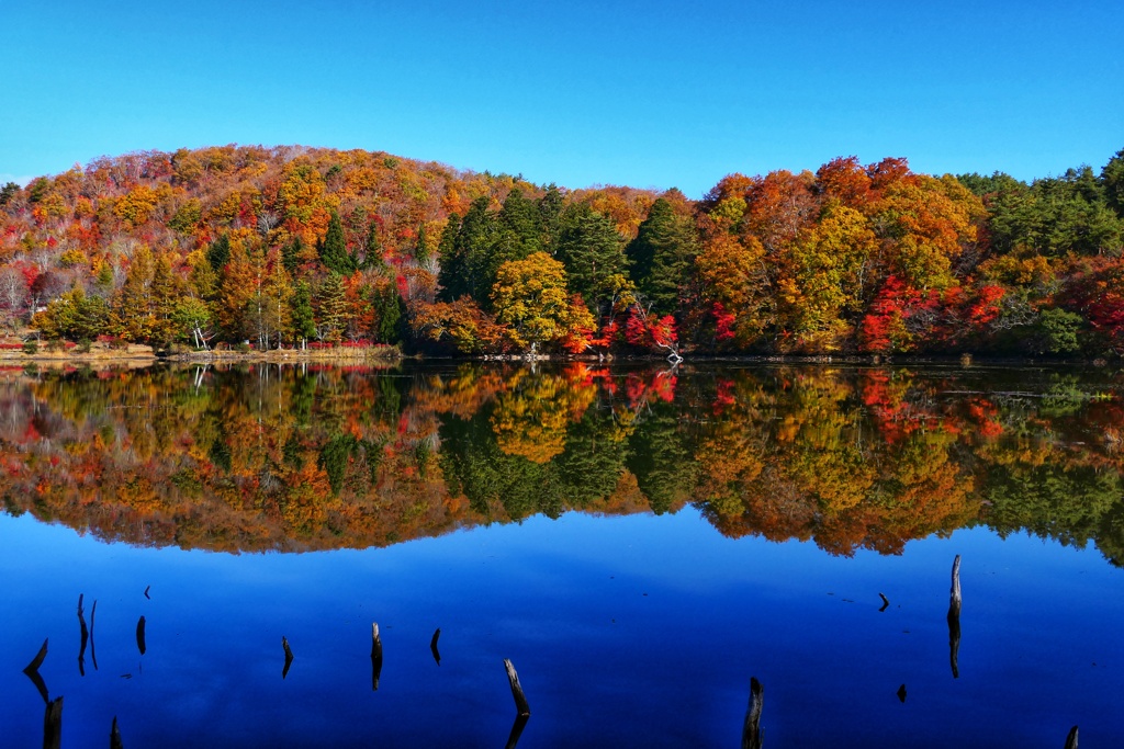 観音沼森林公園２