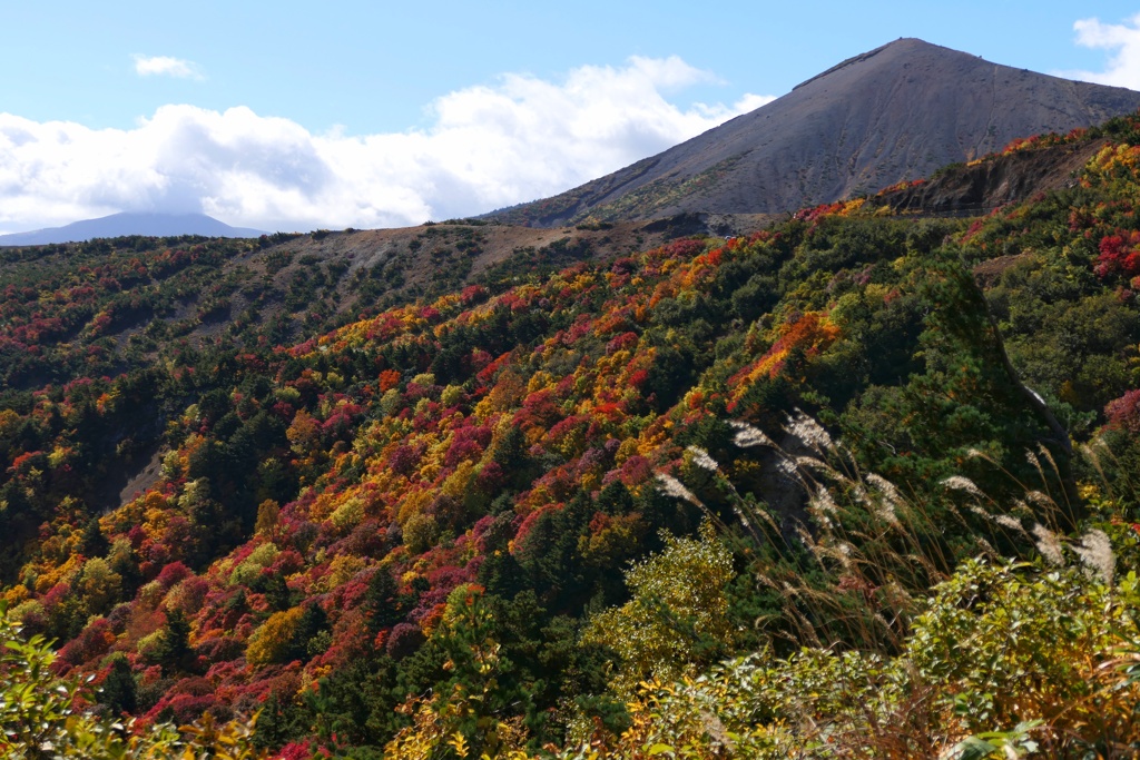磐梯吾妻スカイライン３
