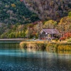 静かな朝