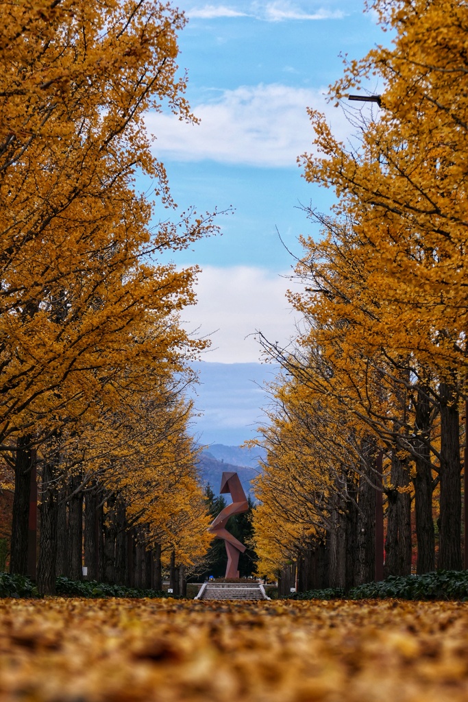 あづま総合運動公園