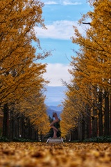 あづま総合運動公園