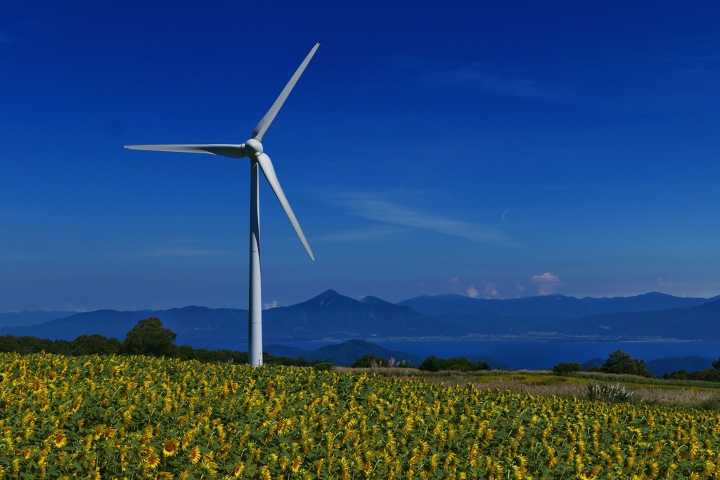 風車と磐梯山と猪苗代湖とヒマワリ２