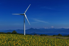 風車と磐梯山と猪苗代湖とヒマワリ２