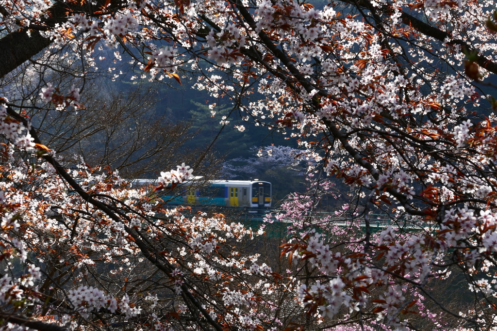 矢祭山からの水郡線