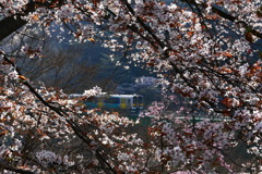 矢祭山からの水郡線
