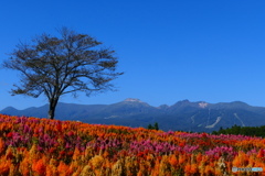 快晴那須連峰 １