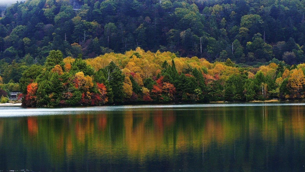 P1150033　奥日光