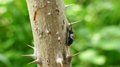 近所散策０５２８