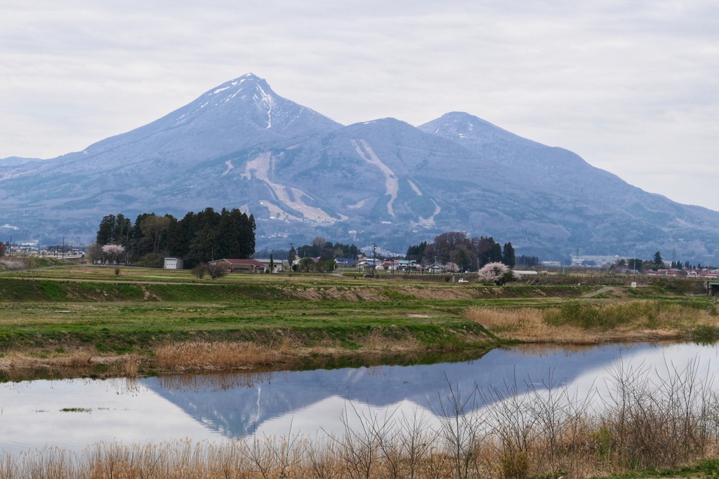 川辺の磐梯山①