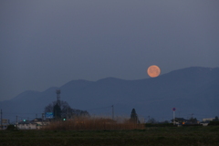 沈むピンクムーン