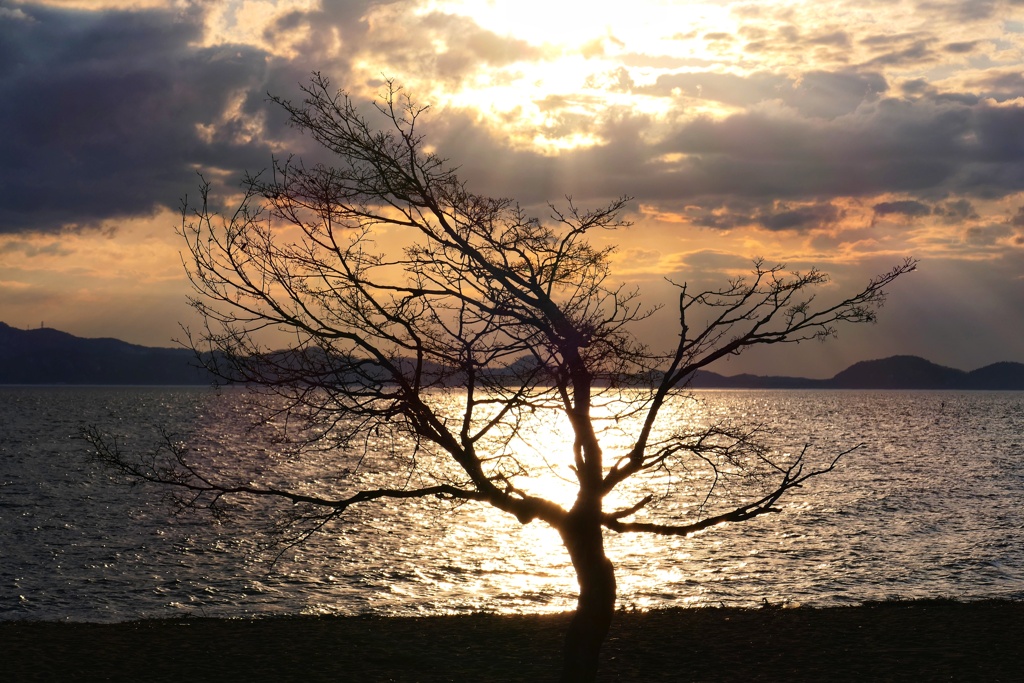 猪苗代湖夕景②