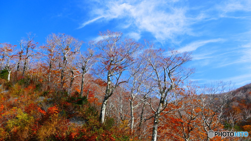 西吾妻スカイバレー １