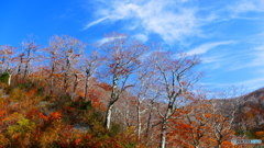 西吾妻スカイバレー １