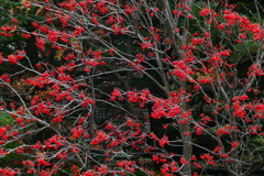 スカイライン５