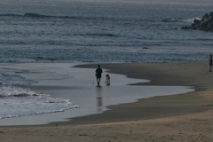 豊間海岸