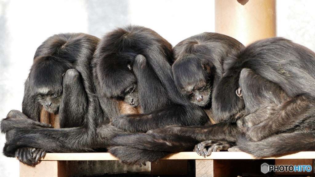 絶望してるみたい。。。