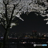 夜桜６