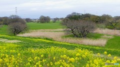 ＠埼玉県利根川河川敷