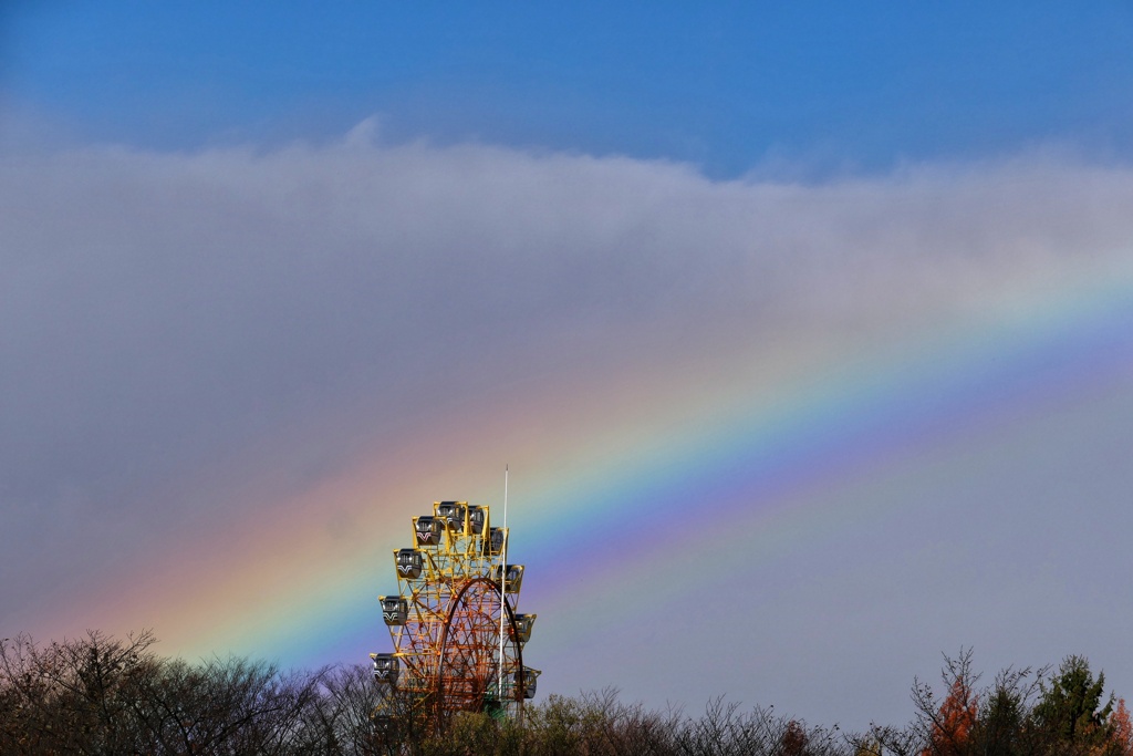 虹と観覧車