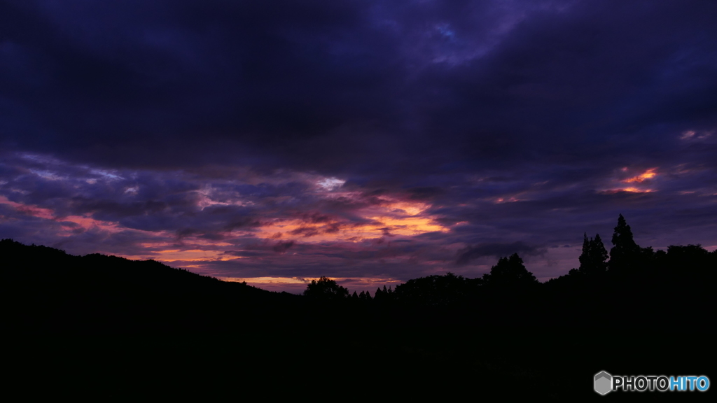 パープル イン ザ スカイ