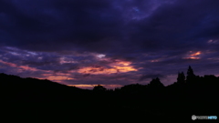 パープル イン ザ スカイ