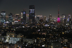 東京夜景