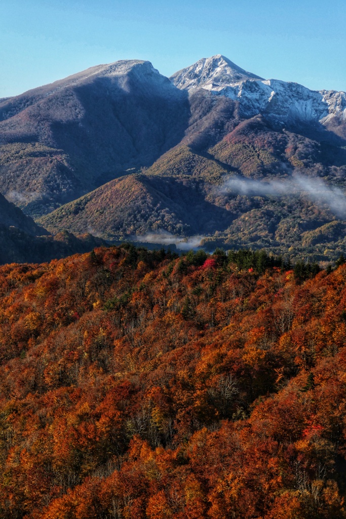 秋と冬の狭間に