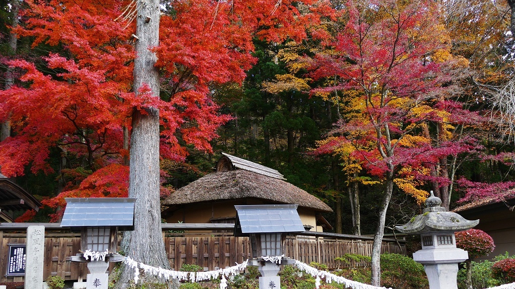 P1170180　@白河市南湖公園