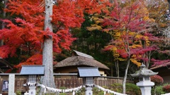 P1170180　@白河市南湖公園
