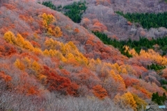 晩秋の山