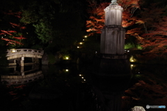 IMGP8249